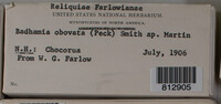 Image Associated With the Occurence